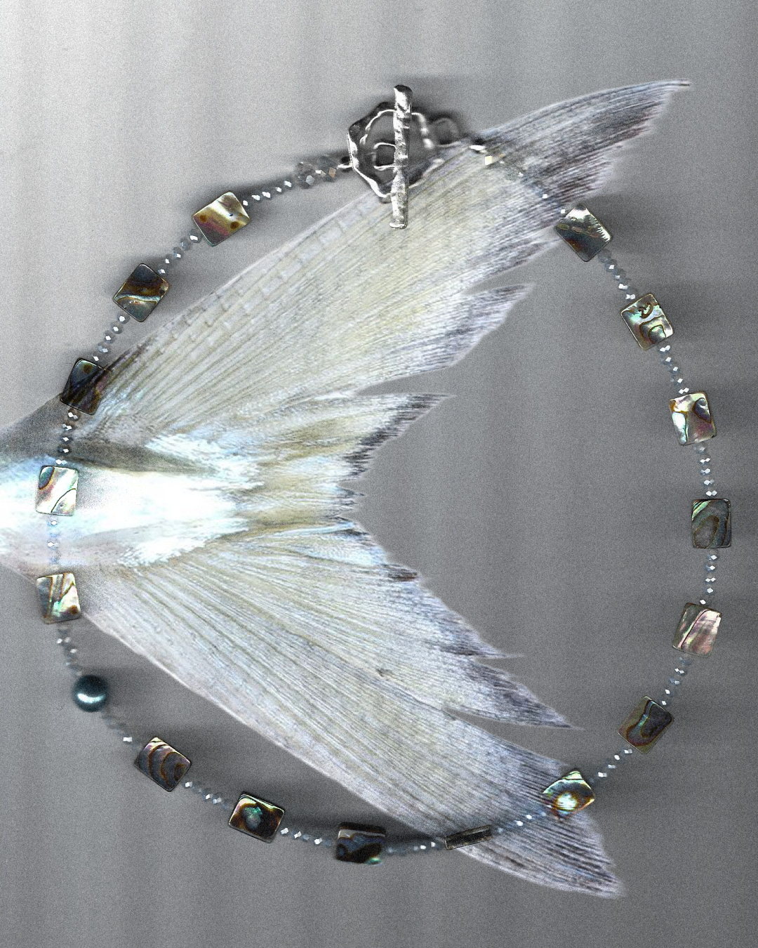 Abalone Necklace