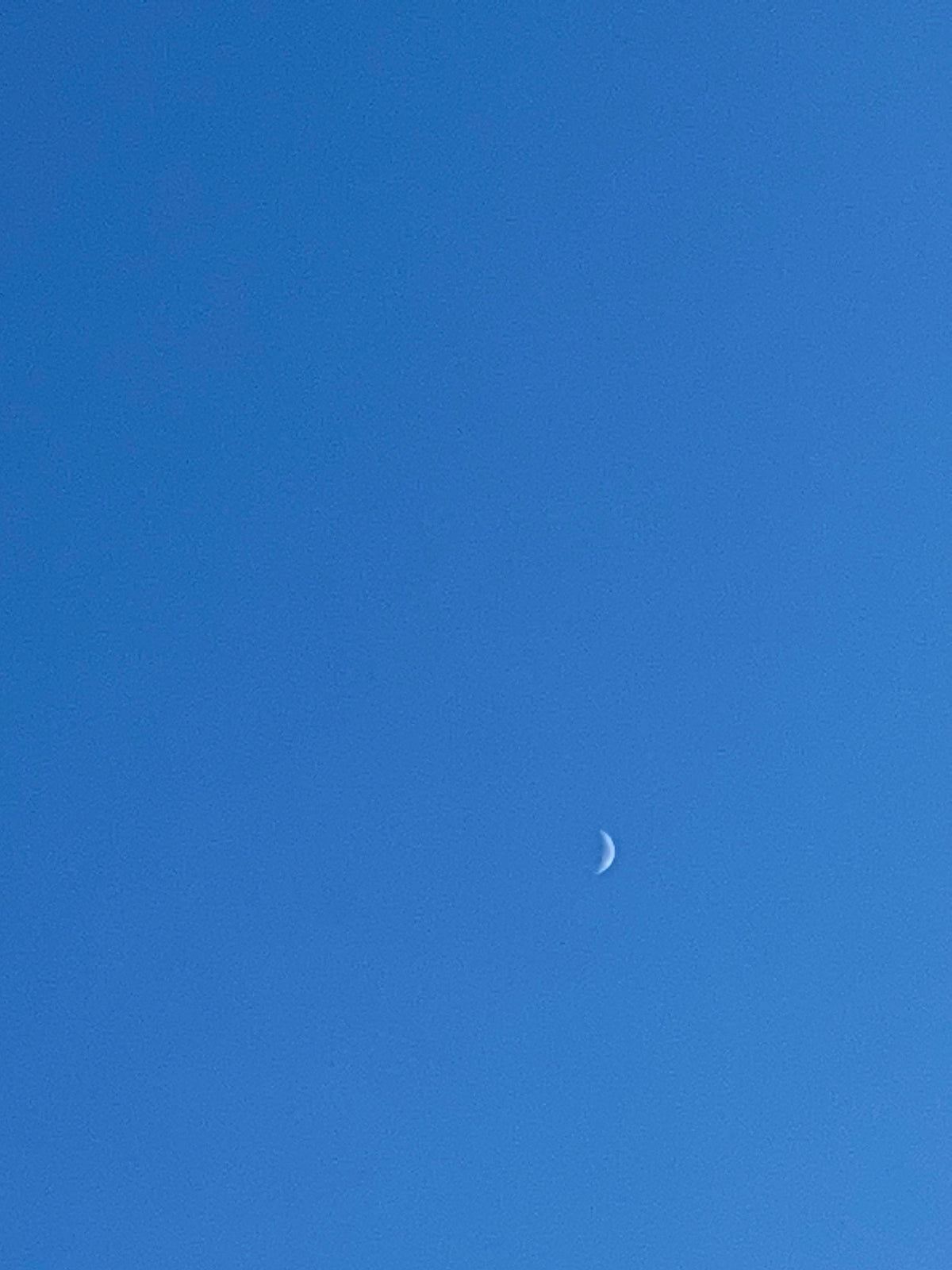 Moon Necklace