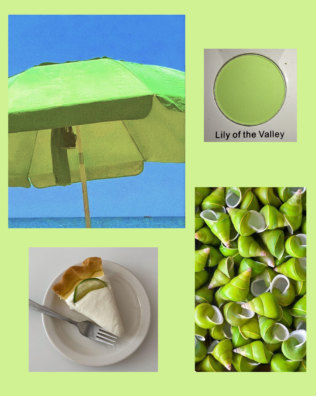 Spiky Key Lime